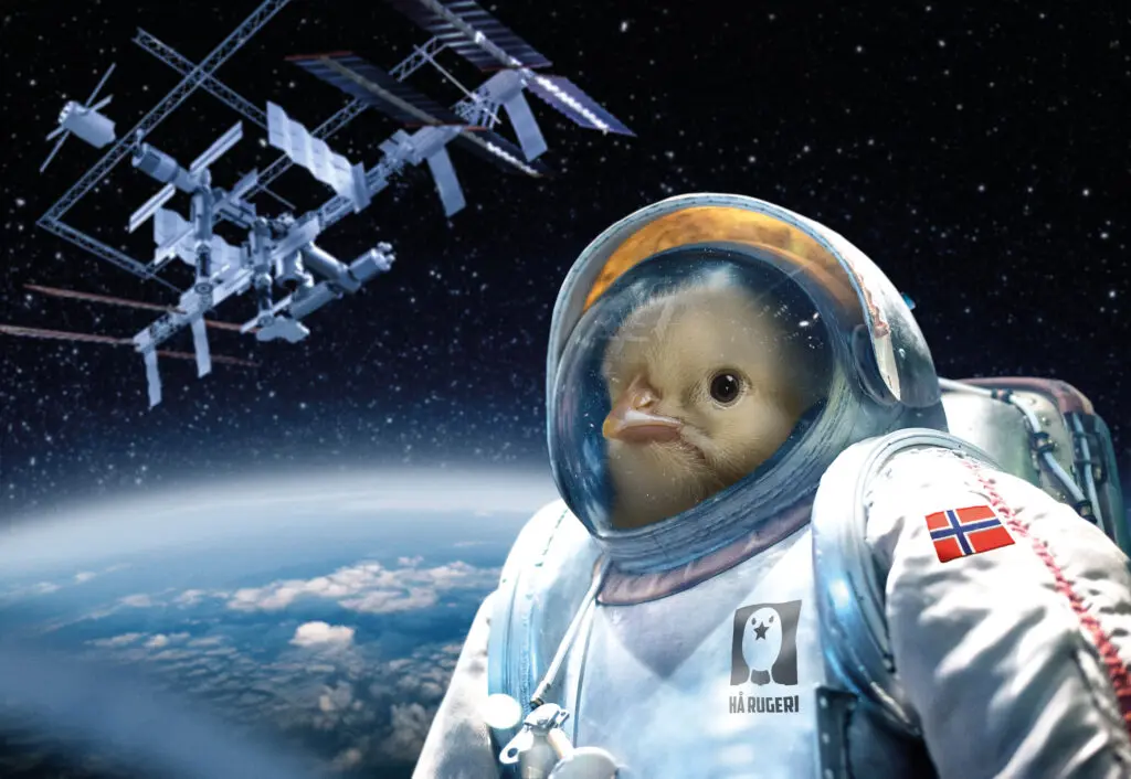 Hå rugeri – Vi klekker stjerner